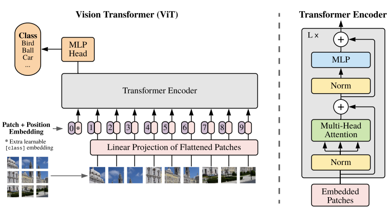 ViT Architecture